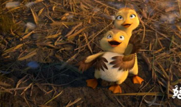 吃瓜爆料小黄鸭视频大全